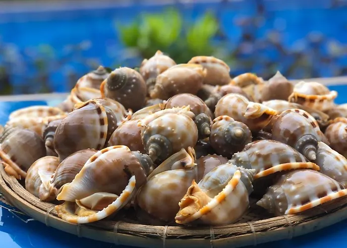 Курортный комплекс Stop And Go Lang Chai Boutique Фантхьет